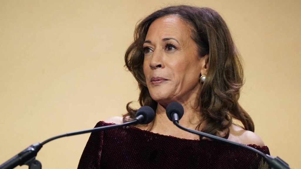 ‘An embarrassment’: Incoherent Kamala Harris brutally roasted over bizarre new claims