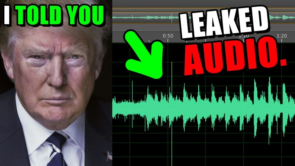 Court audio file LEAKED, President Trump was 100% RIGHT!