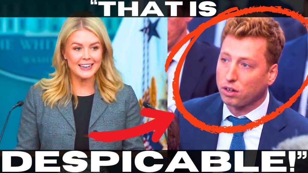 This Just Might Be Karoline Leavitt’s Most Brutal Takedown Of A Reporter Ever