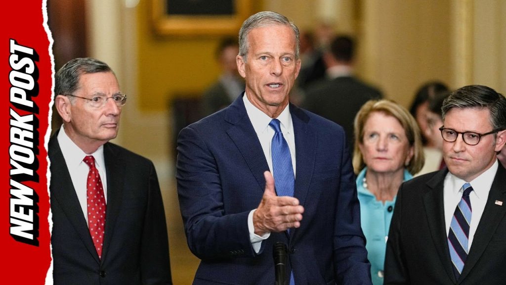 Senator Thune Says Democrats Have Trump Derangement Syndrome ‘On Steroids’