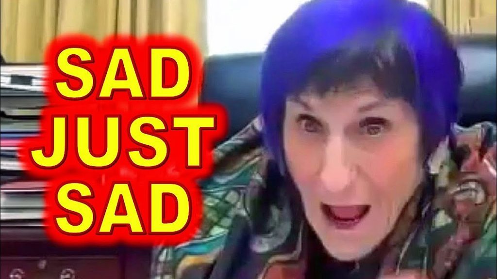 Rosa DeLauro Gets TRIGGERED During VIRTUAL Event and FALLS APART…..
