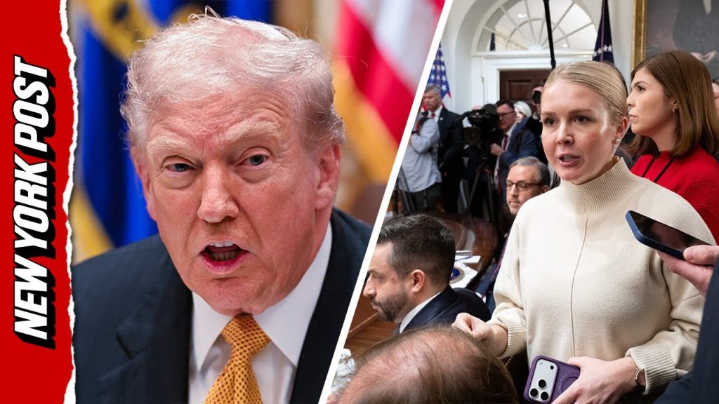 Karoline Leavitt SCOLDS Reporters Over ‘Fake News’ Question on Affordability Karoline Leavitt SCOLDS Reporters Over ‘Fake News’ Question on Affordability