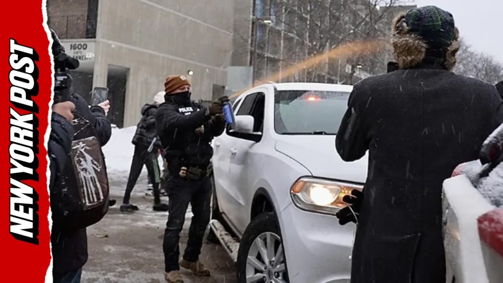 Ice Agents Pepper-Spray Protesters Blocking Deportation Operation in Somali Community