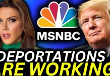 MSNBC FORCED to Admit Trump’s Deportation Plan Is A HUGE Success!