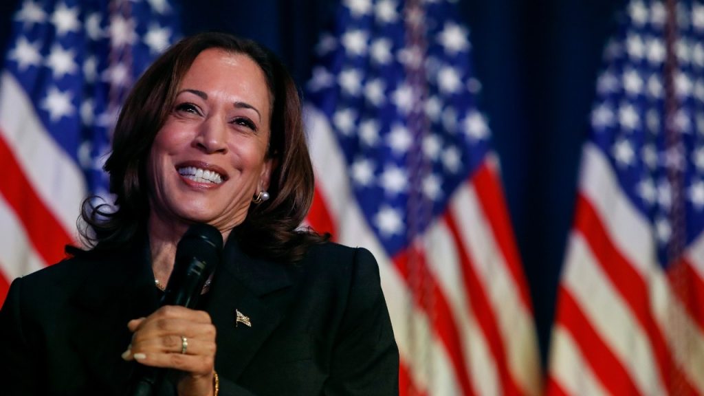 ‘PURE CRINGE’: Kamala Harris Tries to Explain Why She is Against Voter IDs — Hilarity Ensues