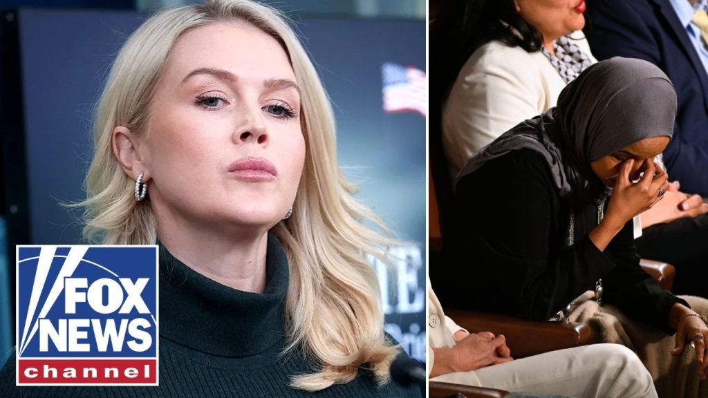 Karoline Leavitt: Dems fell RIGHT into this trap