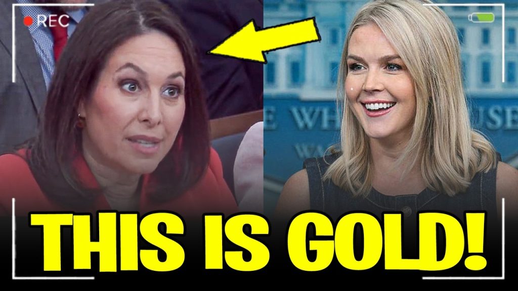 Karoline Leavitt DESTROYS Reporter SO BAD she May QUIT