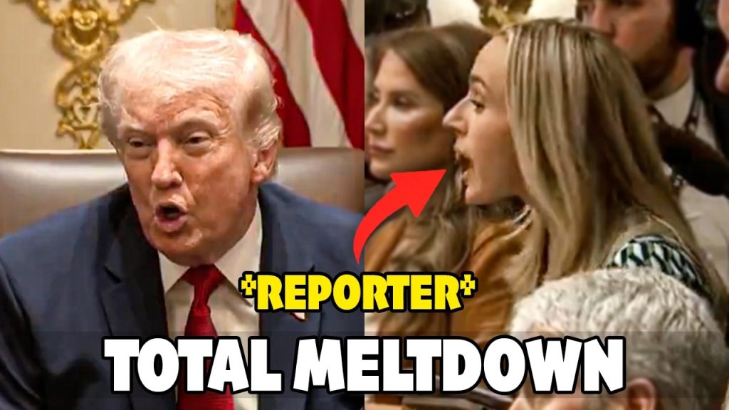 Reporter Has A Total Meltdown After Trump’s Brilliant Response
