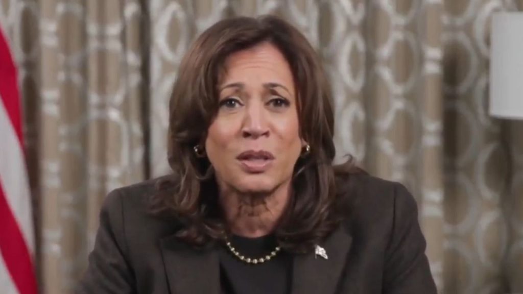 Kamala Harris Disaster – Her Political Future Destroyed