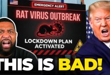 Cities TO LOCK DOWN as Cruise Ship Virus Spreads?