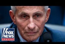 BREAKING: NEW Fauci documents revealed